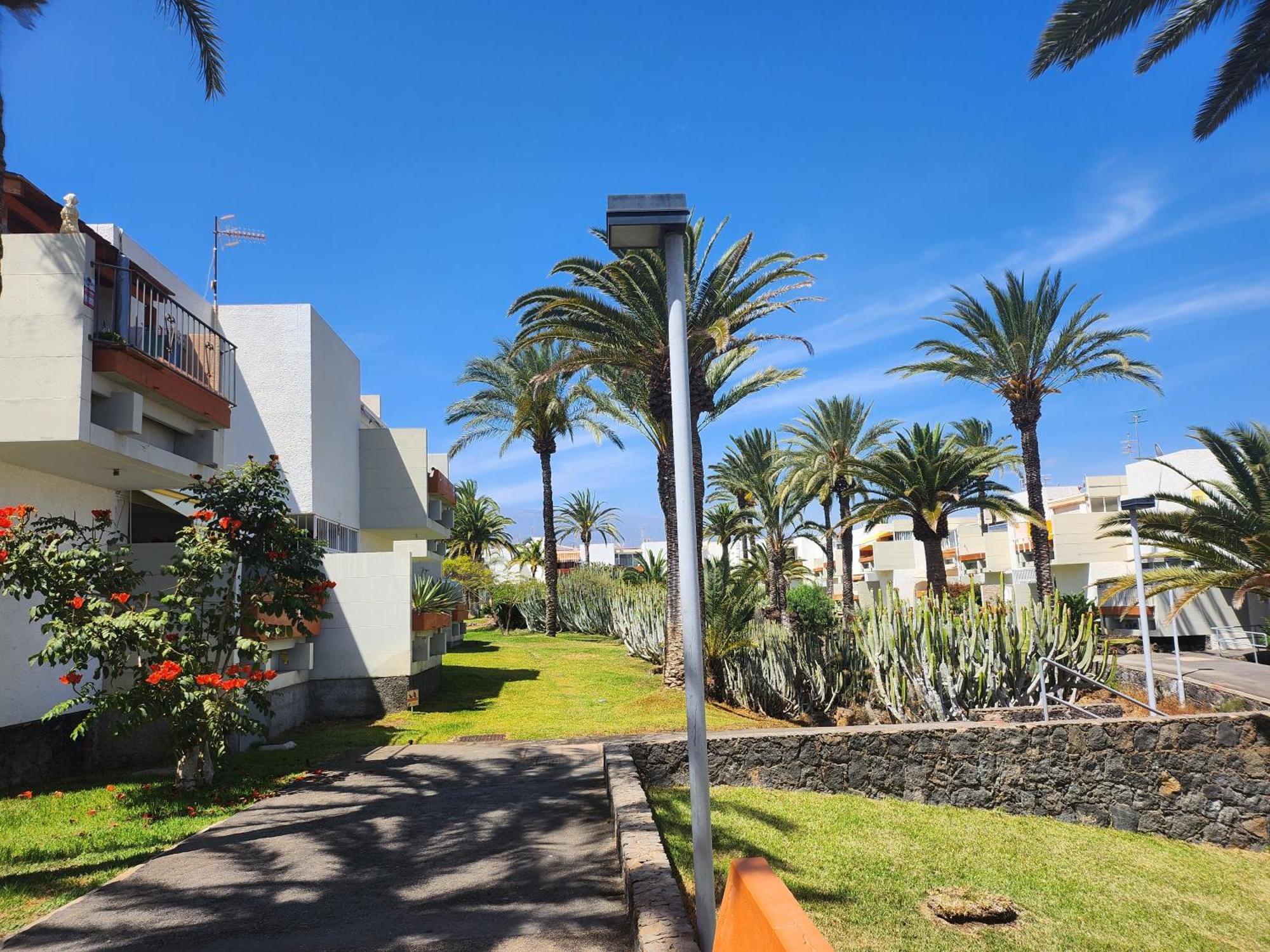 Tenerife Sunshine South Apartment Beach By La Ballena Arona  Zewnętrze zdjęcie