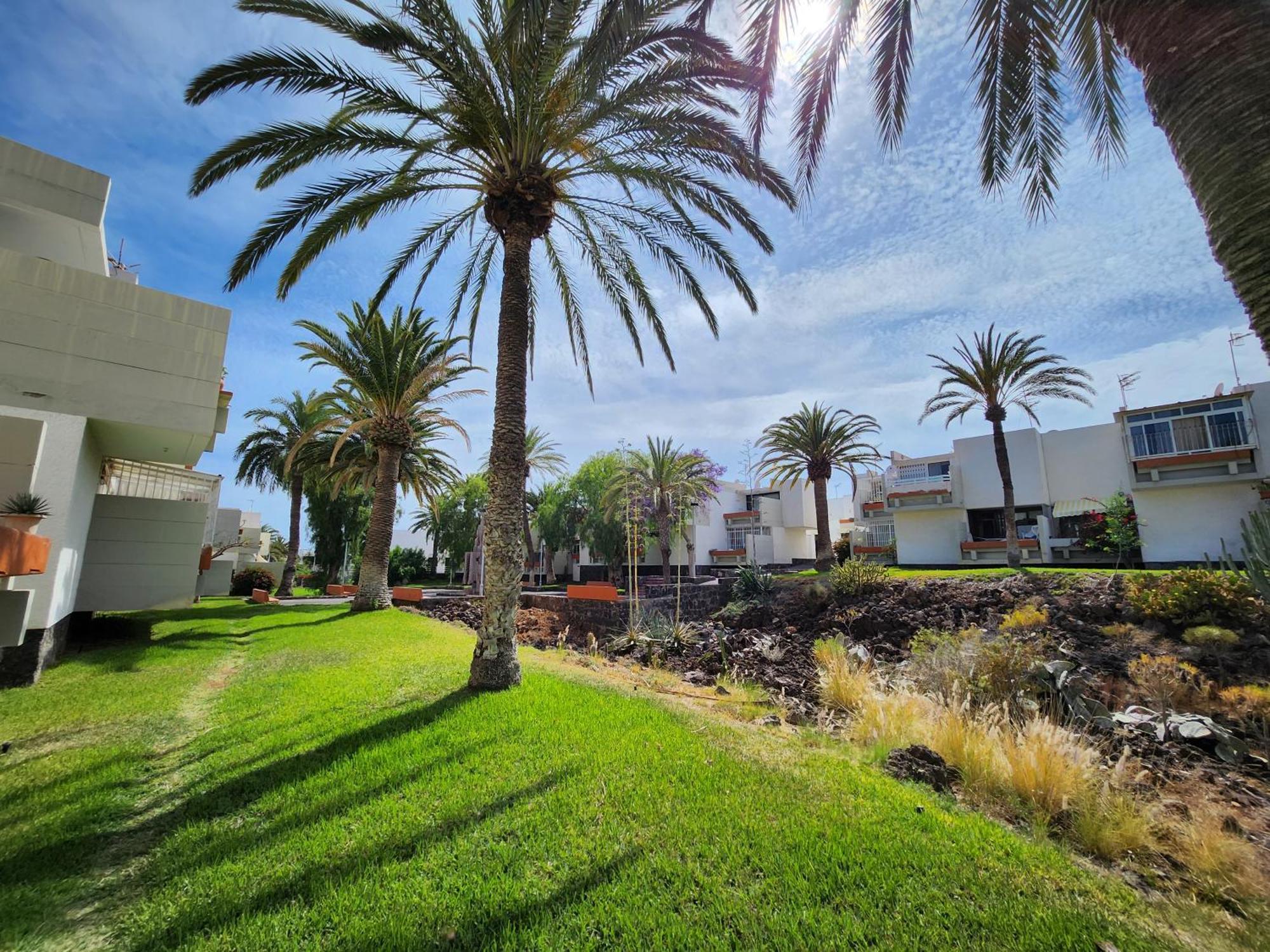 Tenerife Sunshine South Apartment Beach By La Ballena Arona  Zewnętrze zdjęcie